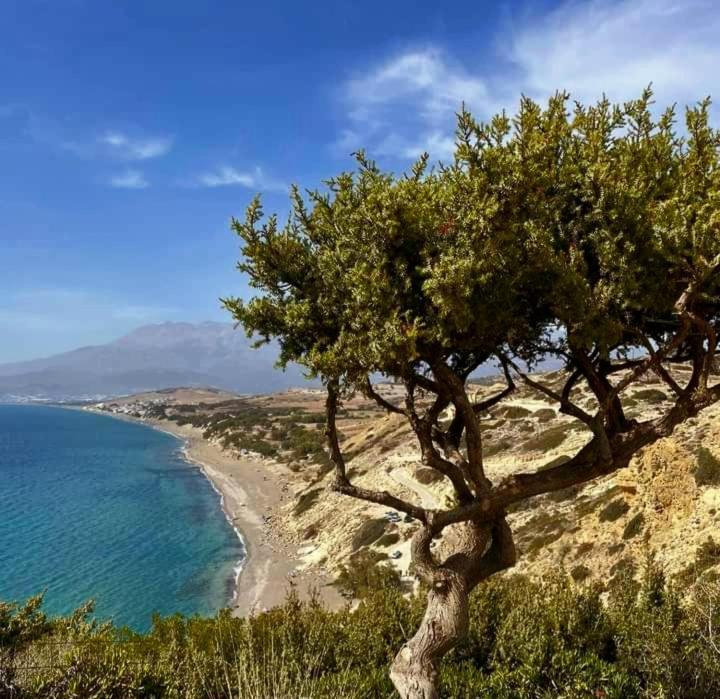 Ilios Kalamaki المظهر الخارجي الصورة